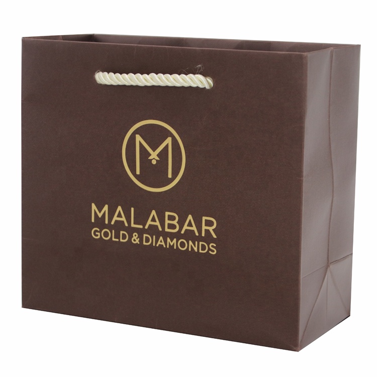 Luxury Shopping Paper Bag With Logo Print